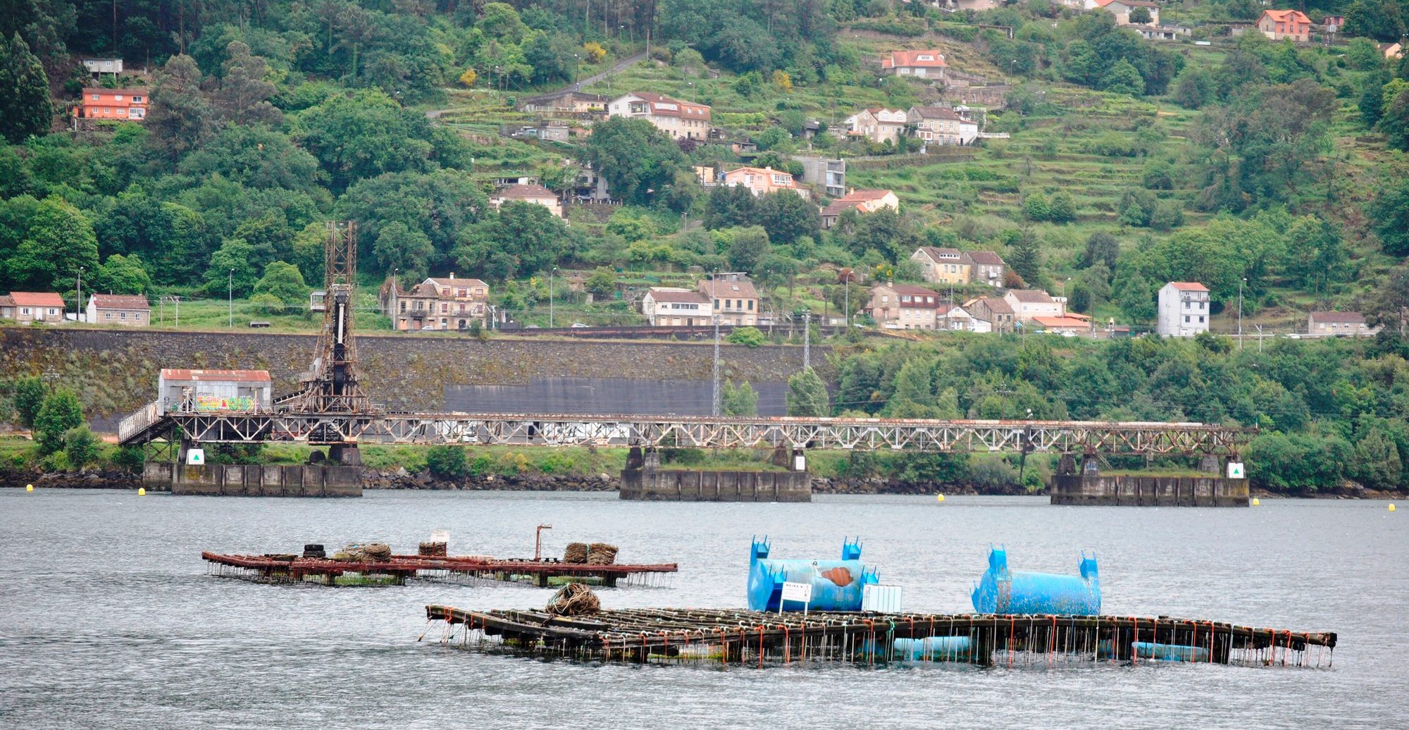 A mussel raft close up in the Enseada de San Simón, the innermost cove of the Ría de Vigo, off Cedeira in Redondela: a grid of dark weathered timber beams sits just above the grey water with hundreds of mussel ropes, tied on with orange cord, hanging straight down into the sea, two large blue floats and a small white identification sign stand on the deck, a second rust-red raft with coiled ropes floats behind, and a long iron trestle pier and a terraced green hillside dotted with houses fill the background